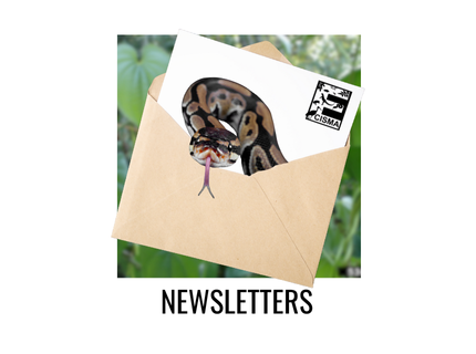 link to Everglades CISMA newsletter signup link and previous editions