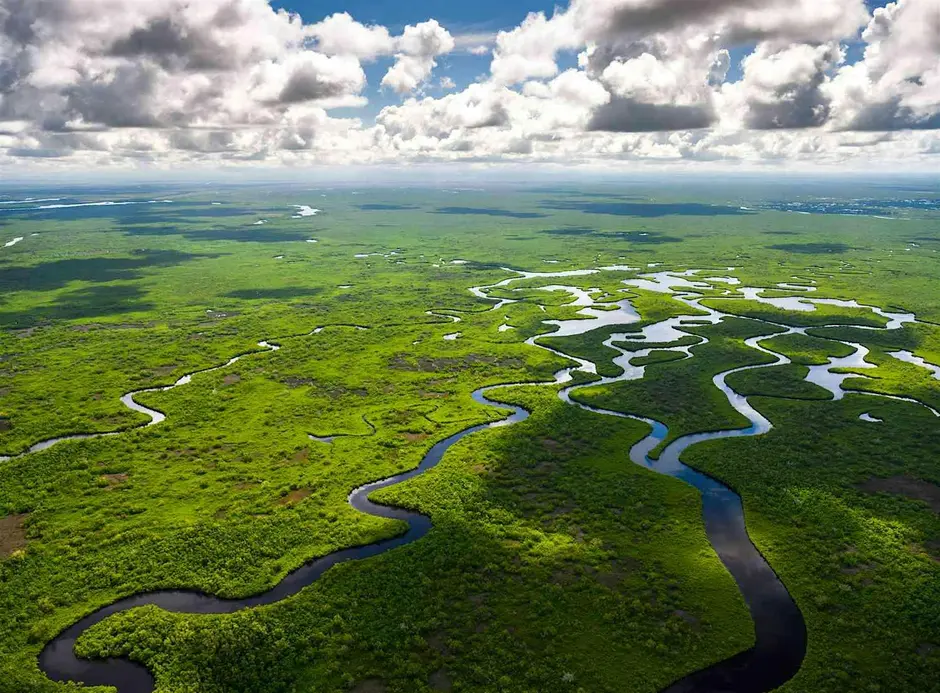 Aerial image of small waterways cutting through green vegetation.